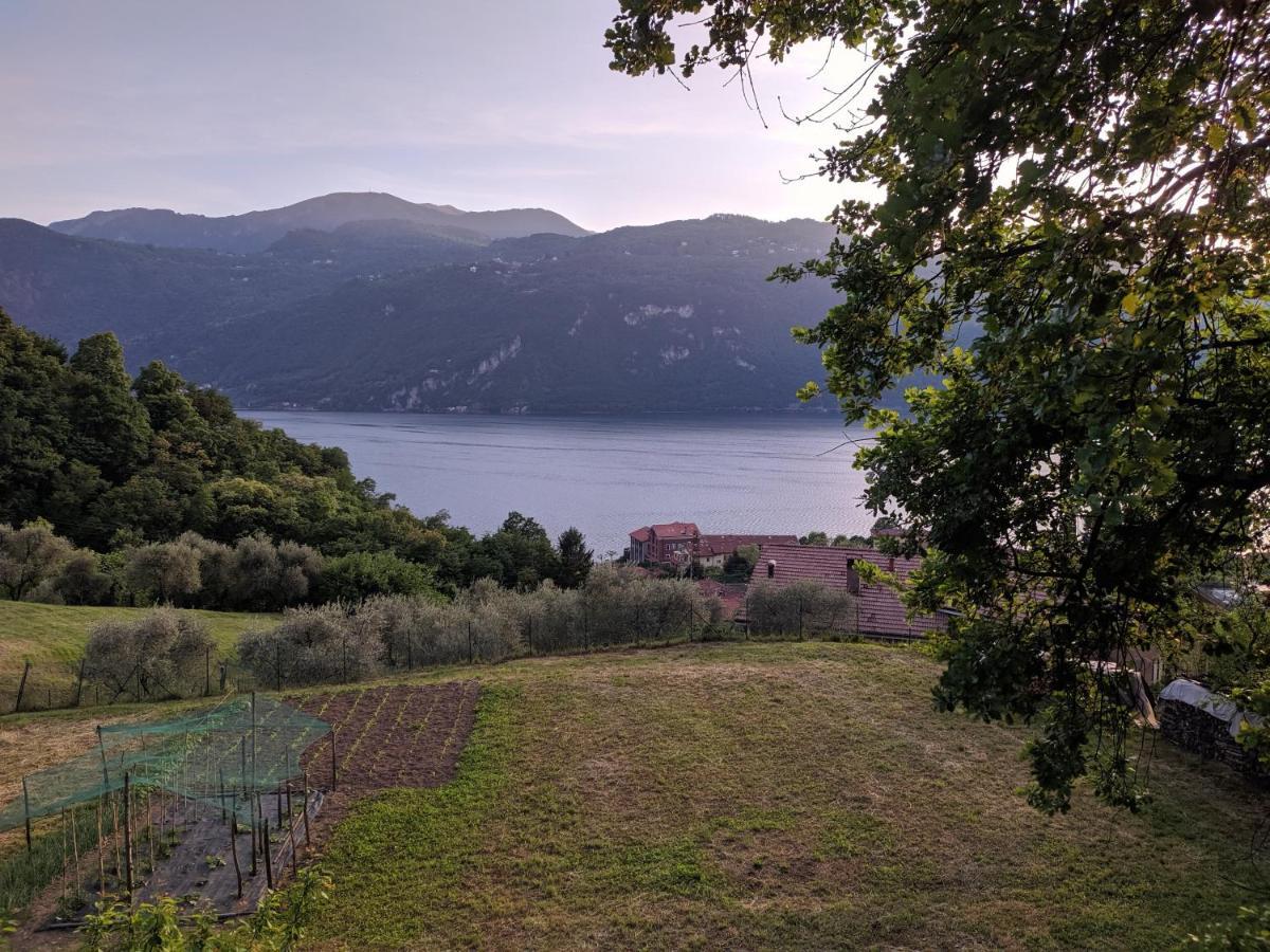 La Casetta Nel Bosco - Hot Tube And Sauna Lierna Bagian luar foto
